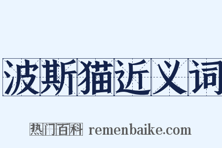 波斯猫近义词是什么意思的图片